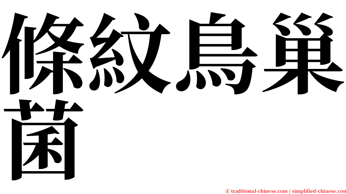 條紋鳥巢菌 serif font