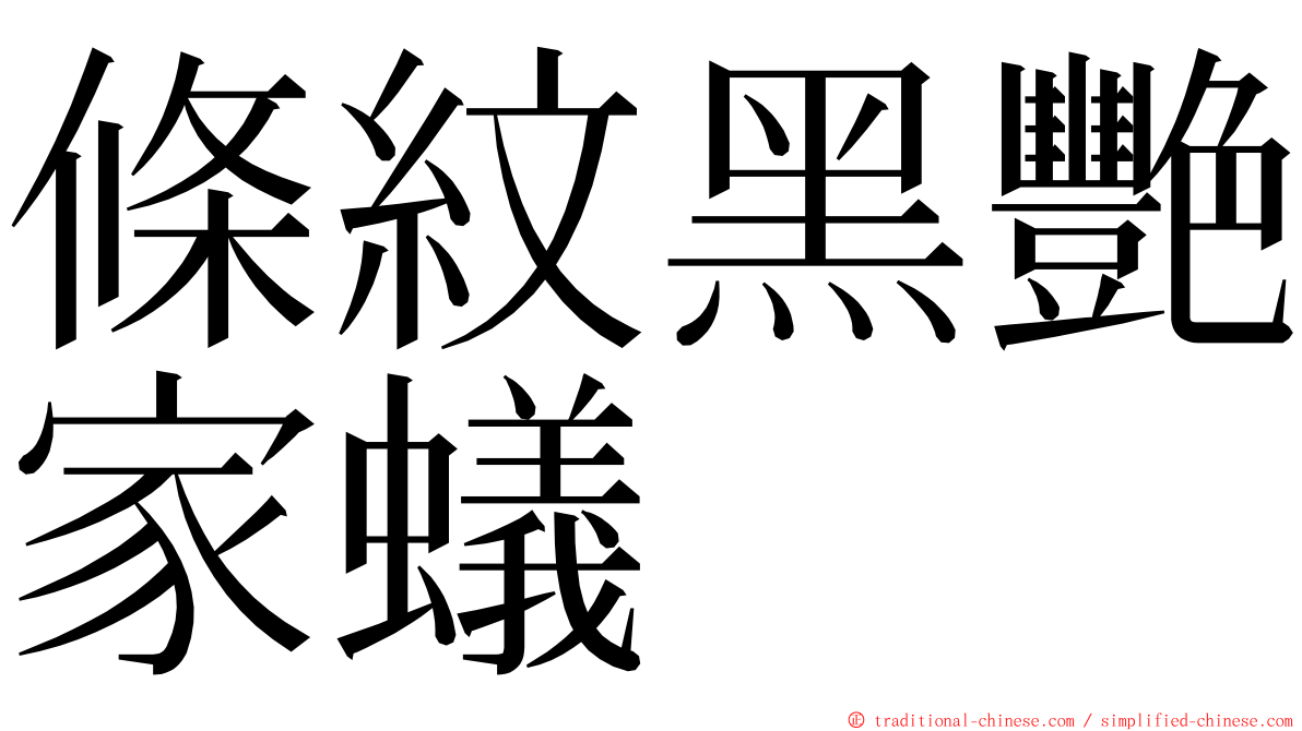 條紋黑艷家蟻 ming font