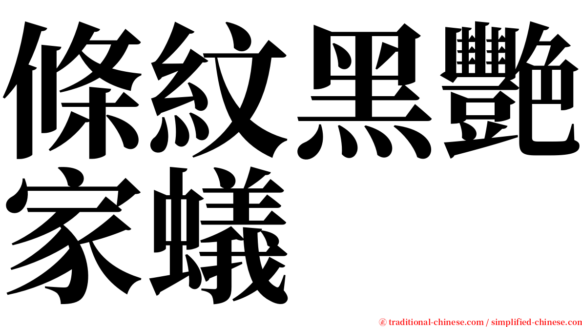 條紋黑艷家蟻 serif font