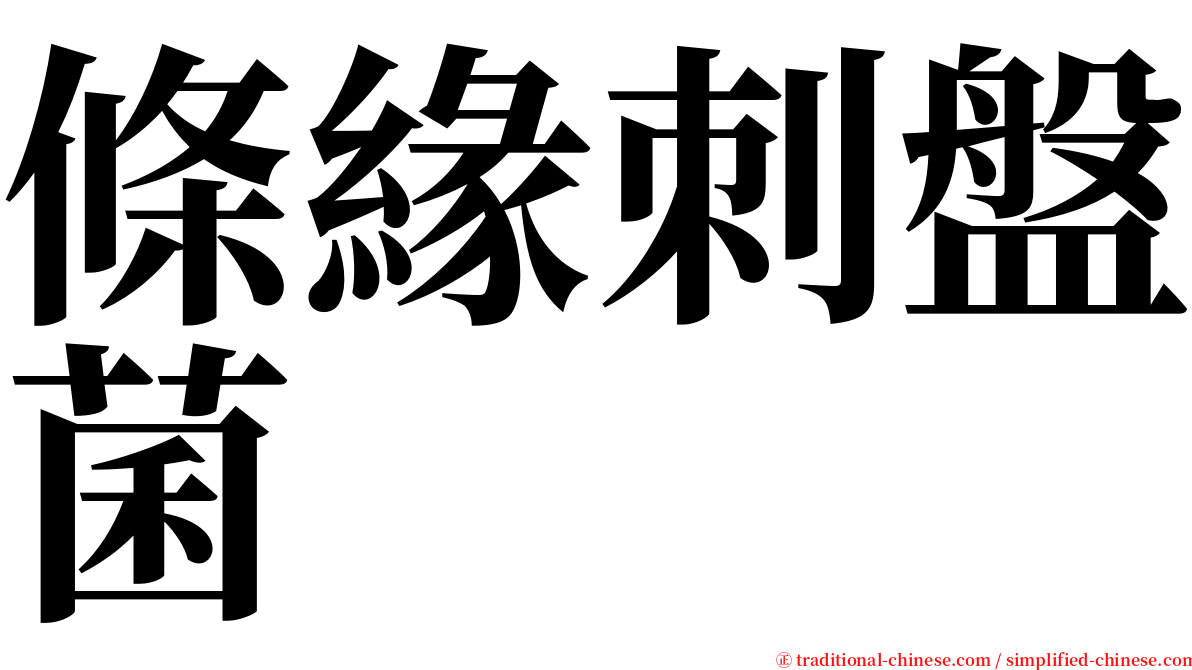 條緣刺盤菌 serif font