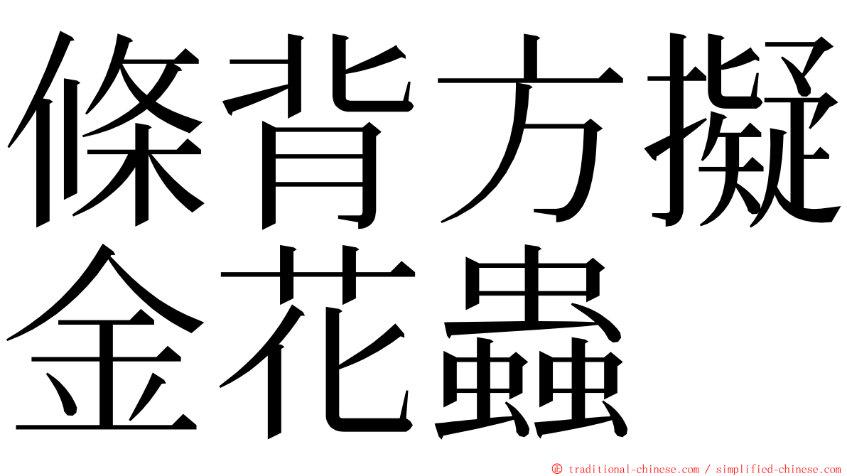 條背方擬金花蟲 ming font