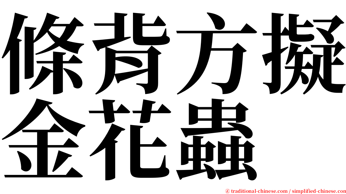 條背方擬金花蟲 serif font