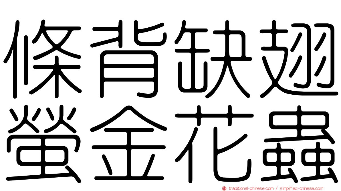 條背缺翅螢金花蟲