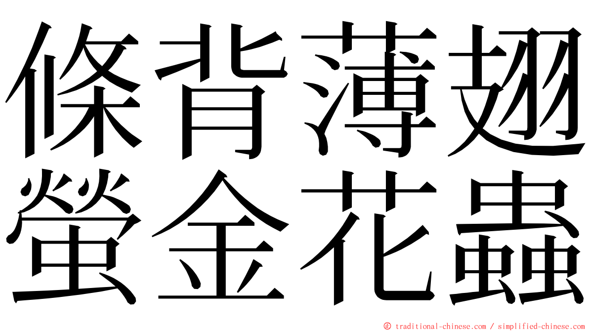 條背薄翅螢金花蟲 ming font