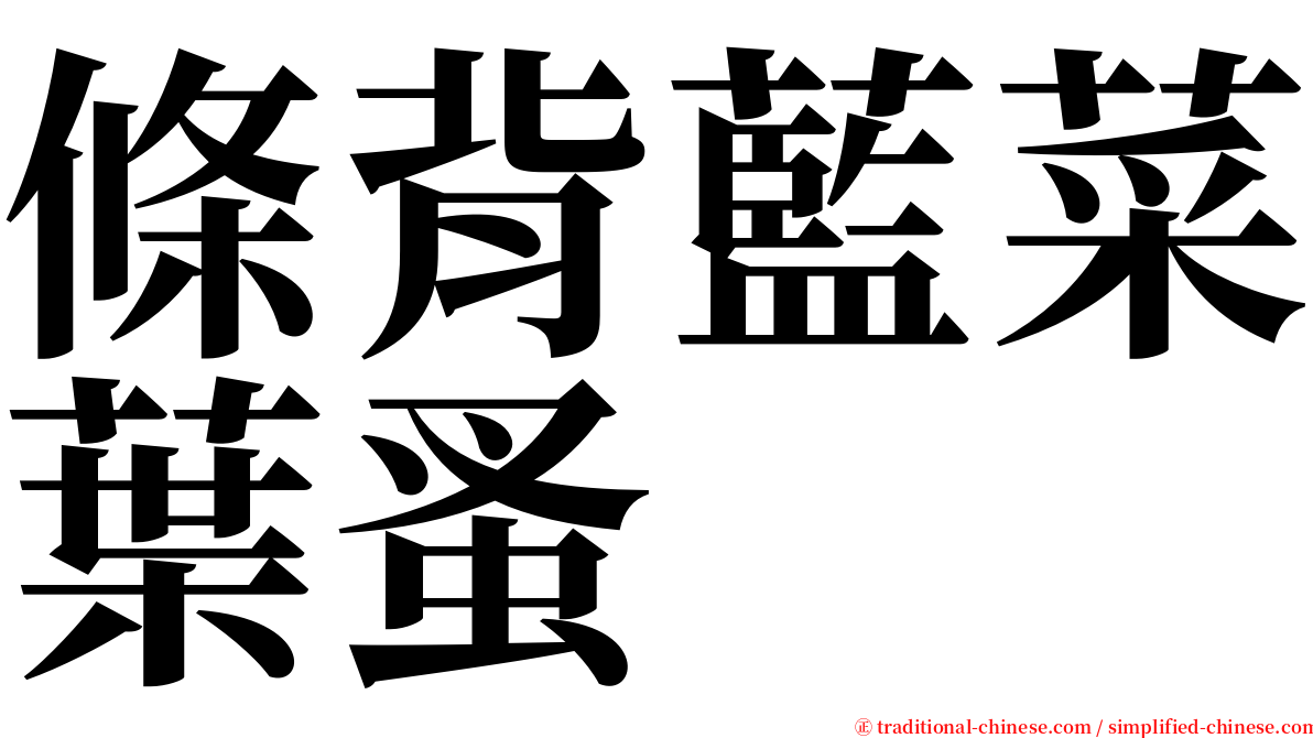 條背藍菜葉蚤 serif font