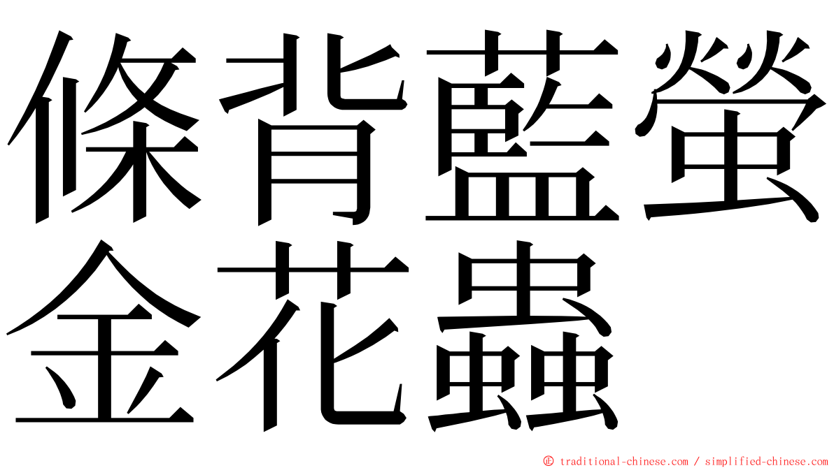 條背藍螢金花蟲 ming font