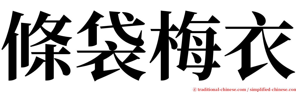 條袋梅衣 serif font