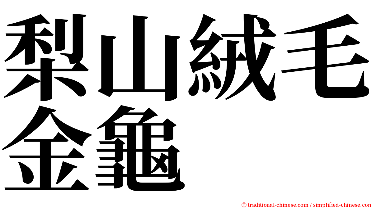 梨山絨毛金龜 serif font