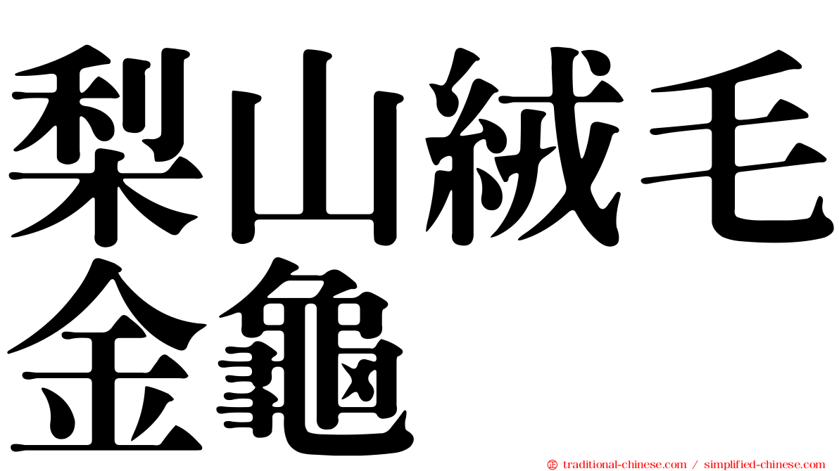 梨山絨毛金龜