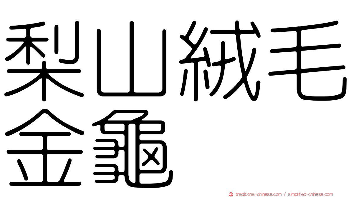 梨山絨毛金龜