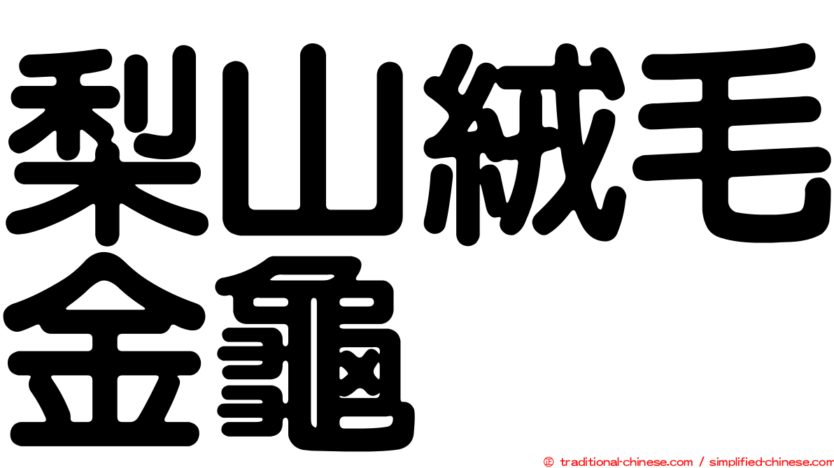 梨山絨毛金龜