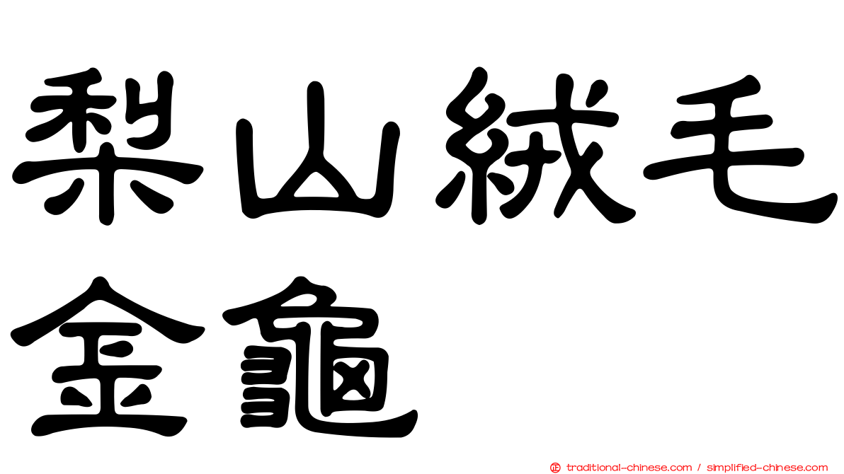 梨山絨毛金龜