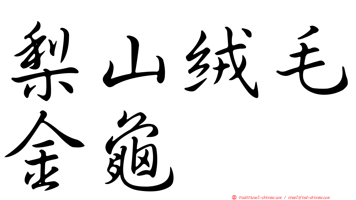 梨山絨毛金龜