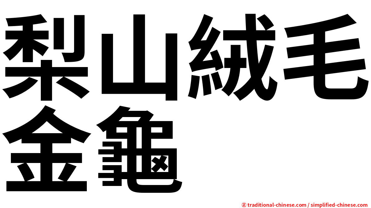 梨山絨毛金龜