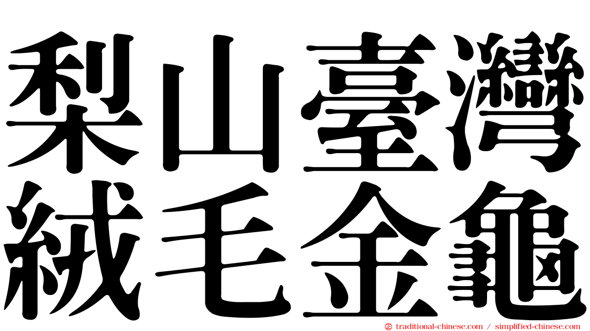 梨山臺灣絨毛金龜