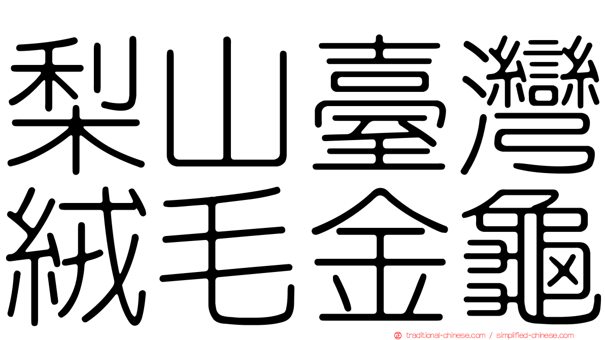 梨山臺灣絨毛金龜