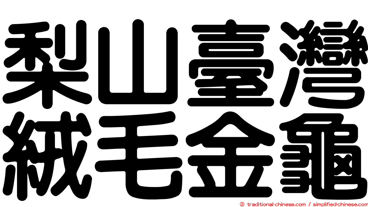 梨山臺灣絨毛金龜