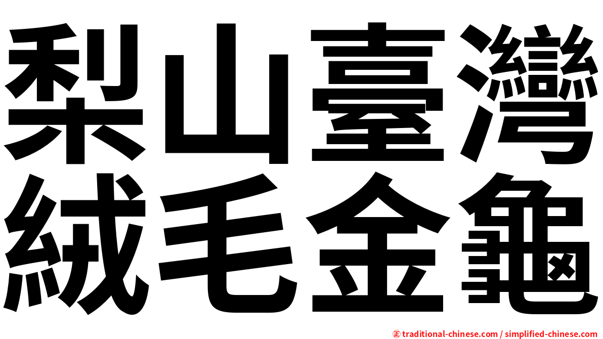 梨山臺灣絨毛金龜