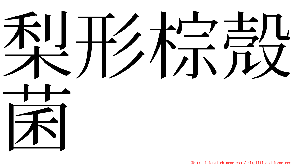 梨形棕殼菌 ming font