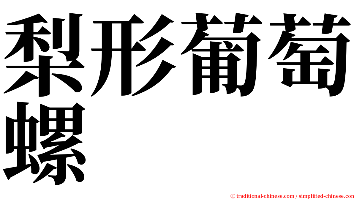 梨形葡萄螺 serif font