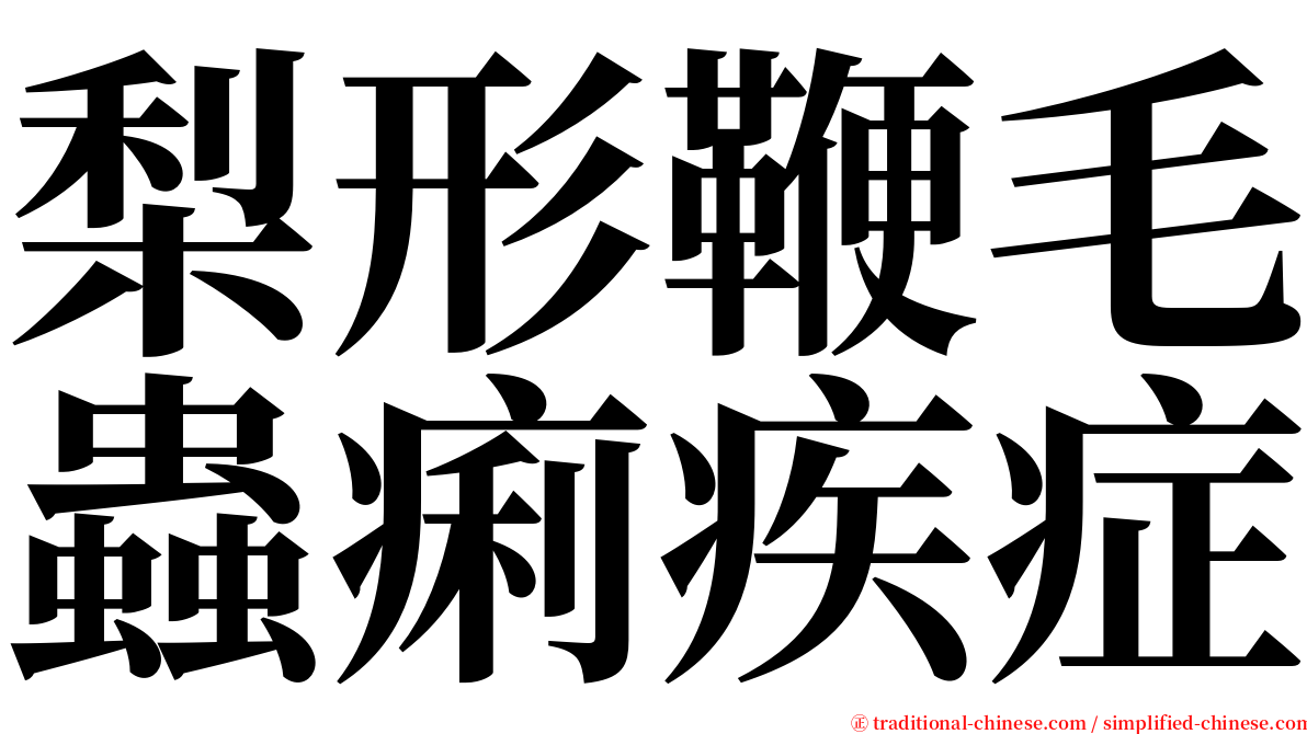 梨形鞭毛蟲痢疾症 serif font