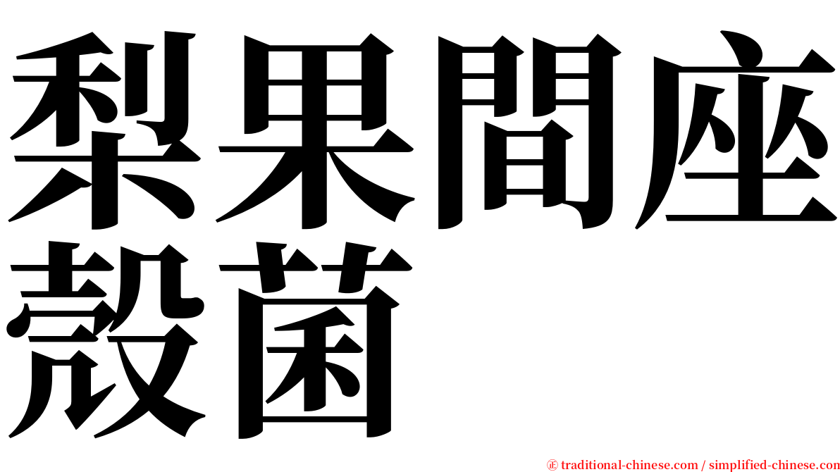 梨果間座殼菌 serif font