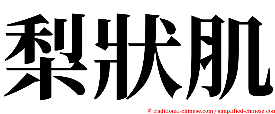 梨狀肌 serif font