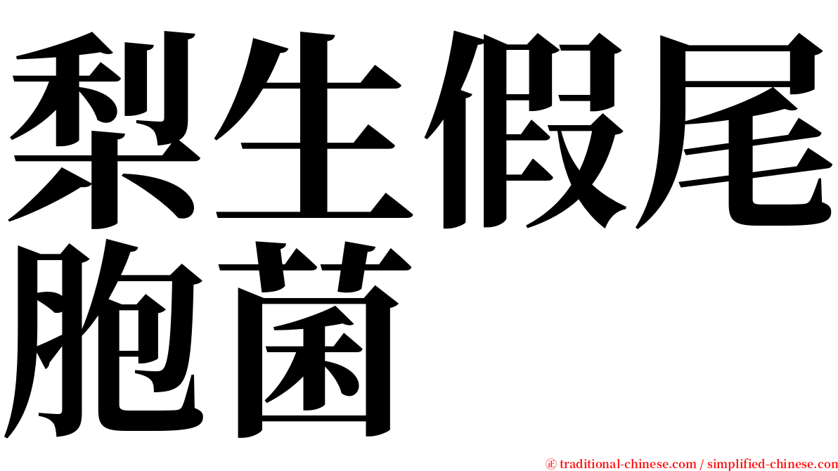 梨生假尾胞菌 serif font