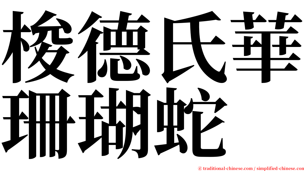 梭德氏華珊瑚蛇 serif font