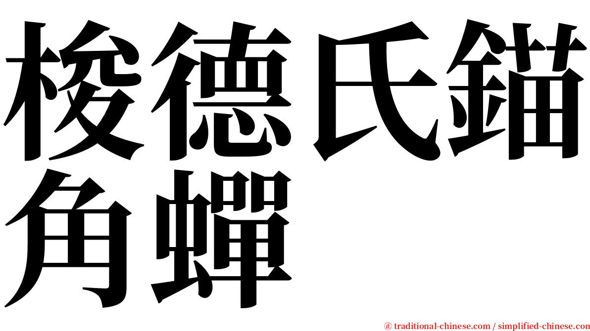 梭德氏錨角蟬 serif font