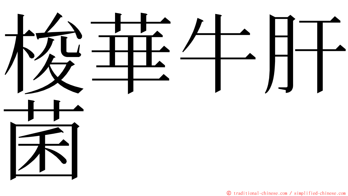 梭華牛肝菌 ming font