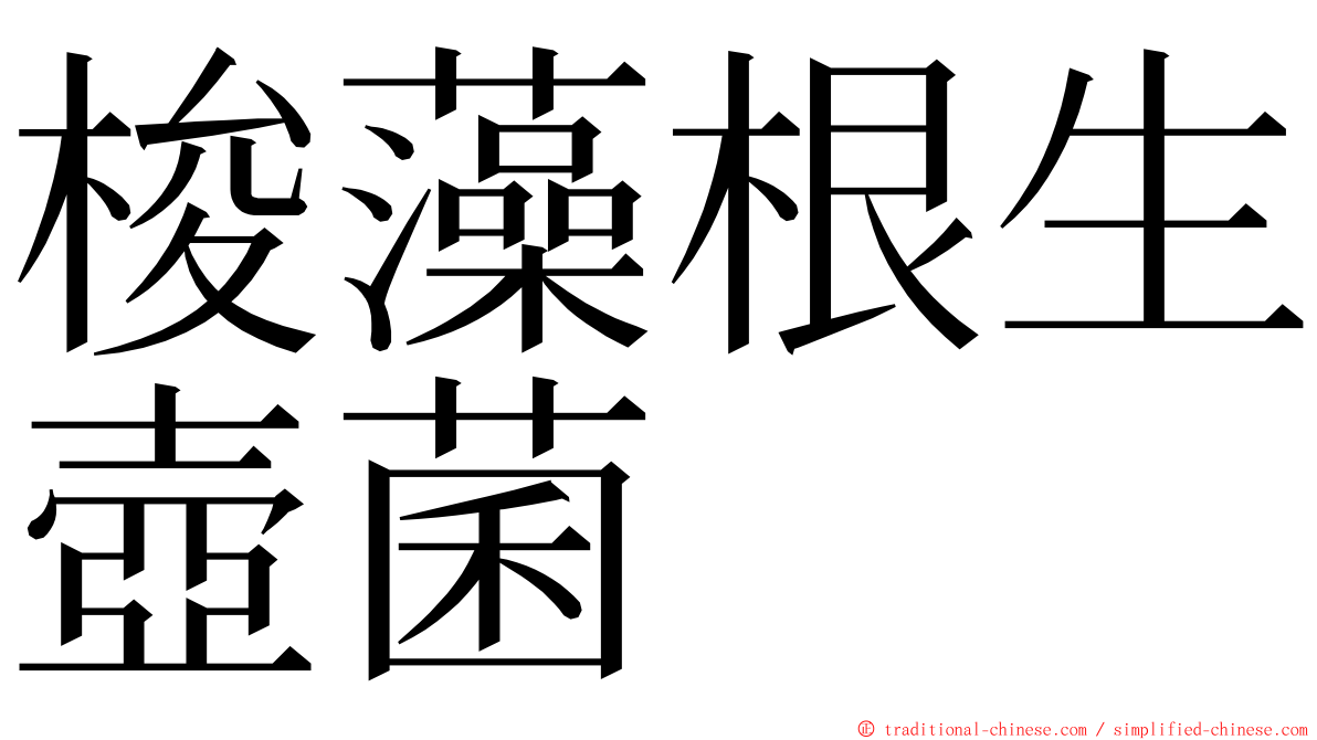 梭藻根生壺菌 ming font