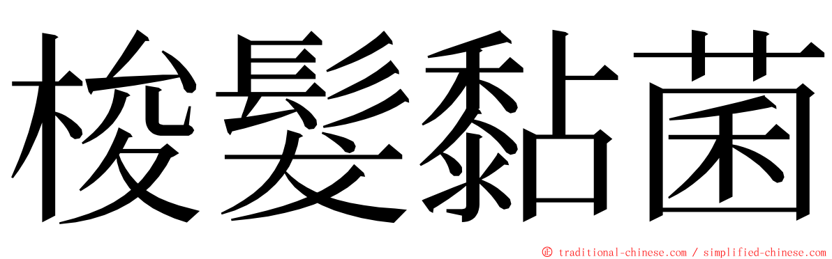 梭髮黏菌 ming font