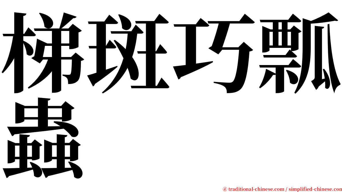 梯斑巧瓢蟲 serif font