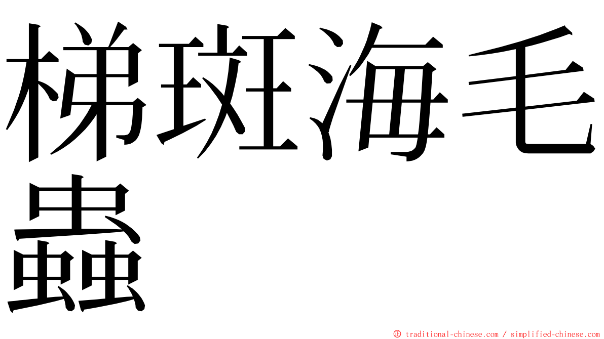 梯斑海毛蟲 ming font
