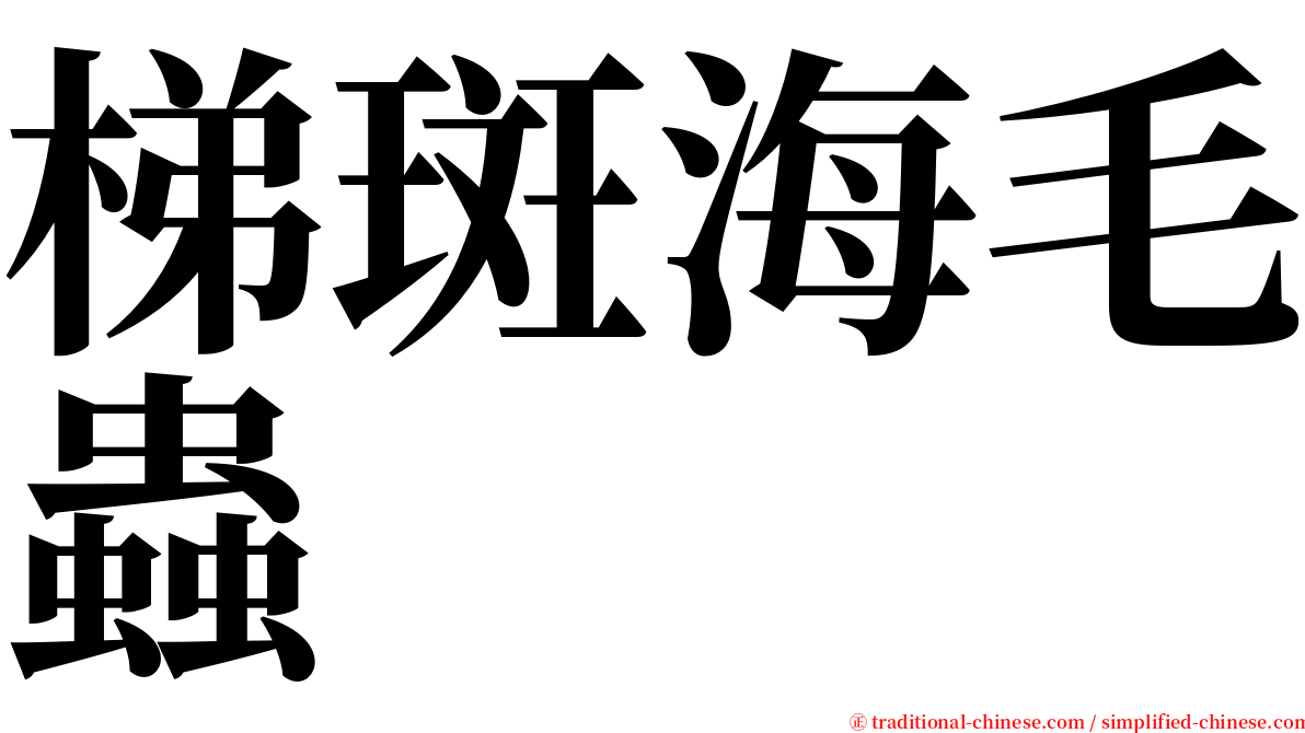 梯斑海毛蟲 serif font
