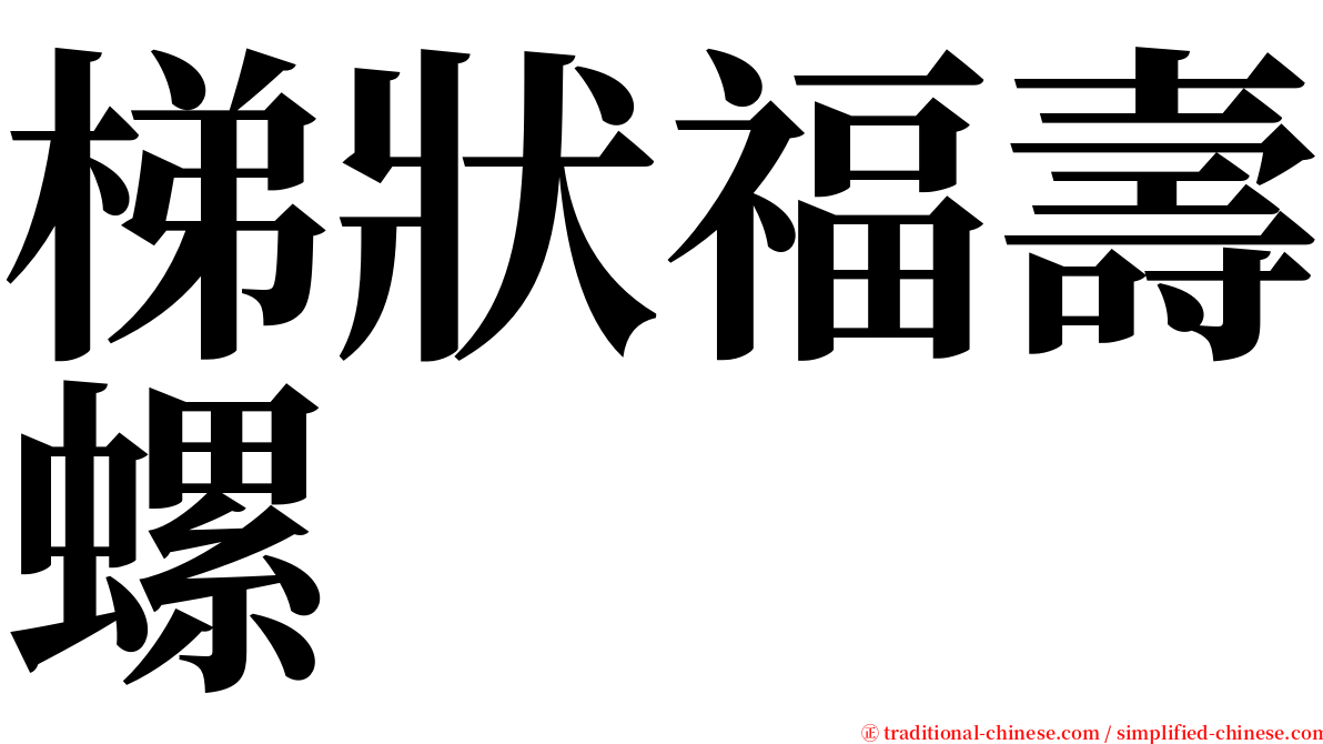 梯狀福壽螺 serif font
