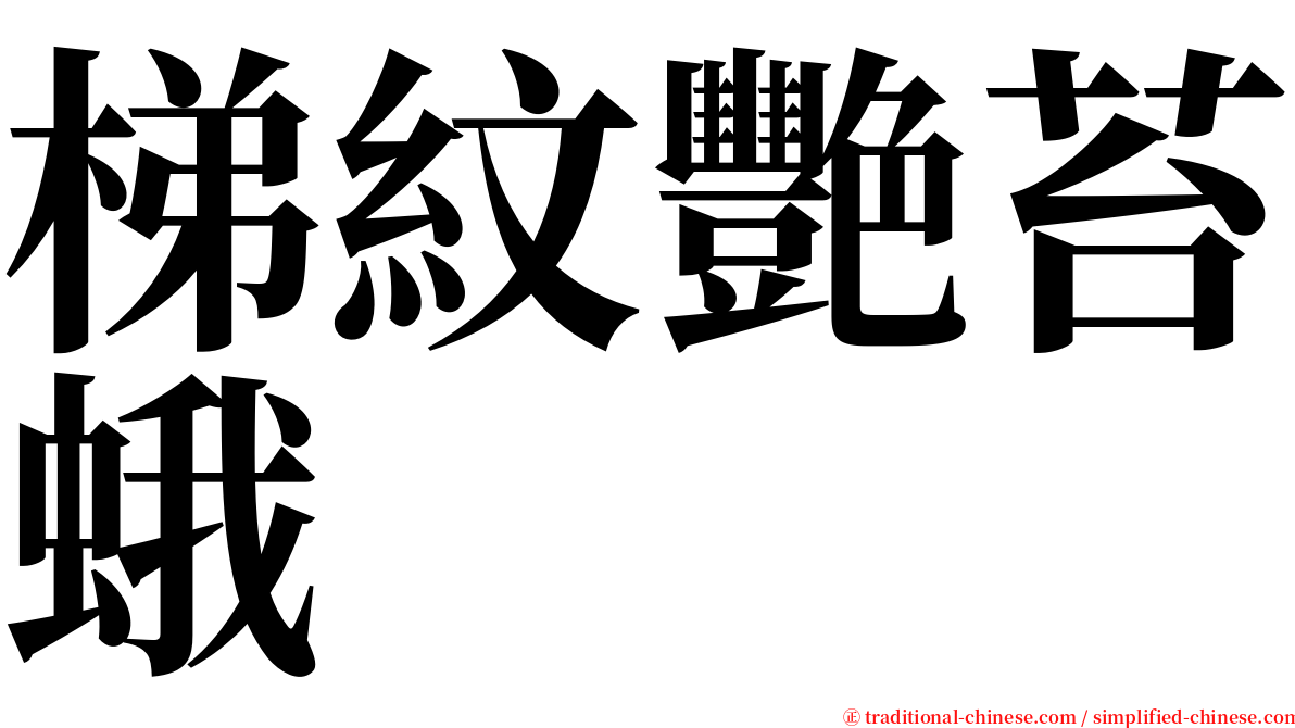 梯紋艷苔蛾 serif font