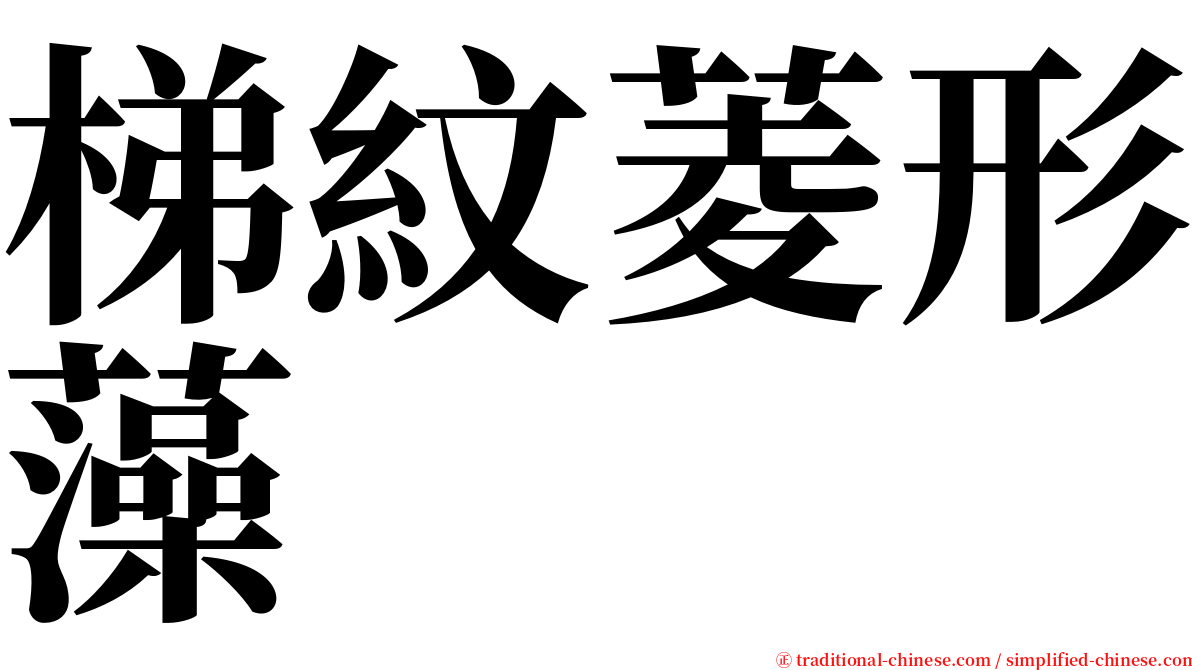 梯紋菱形藻 serif font