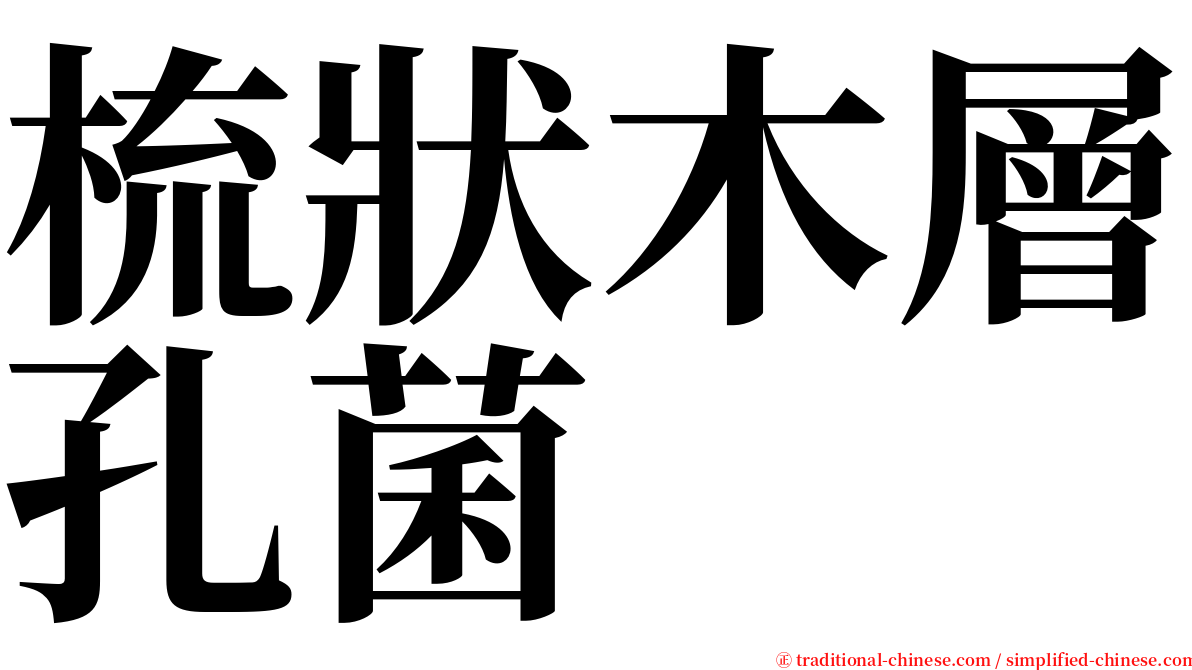 梳狀木層孔菌 serif font