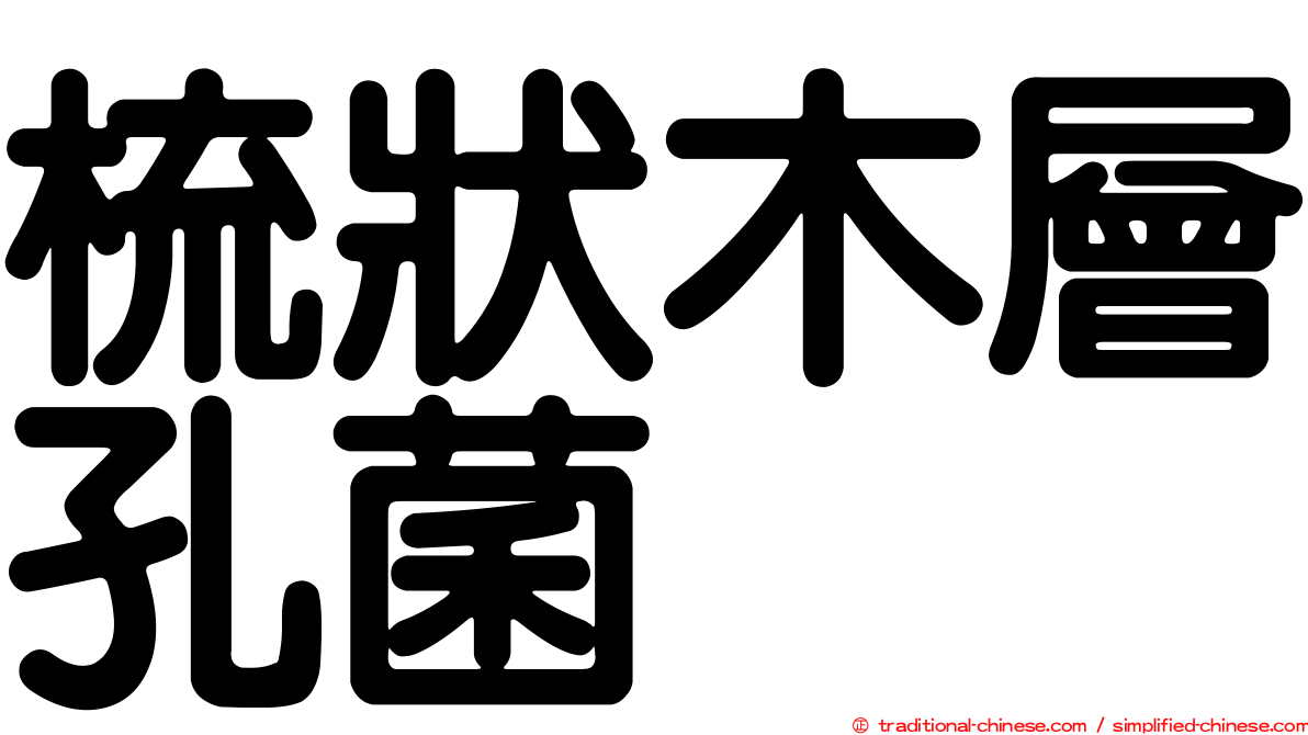 梳狀木層孔菌