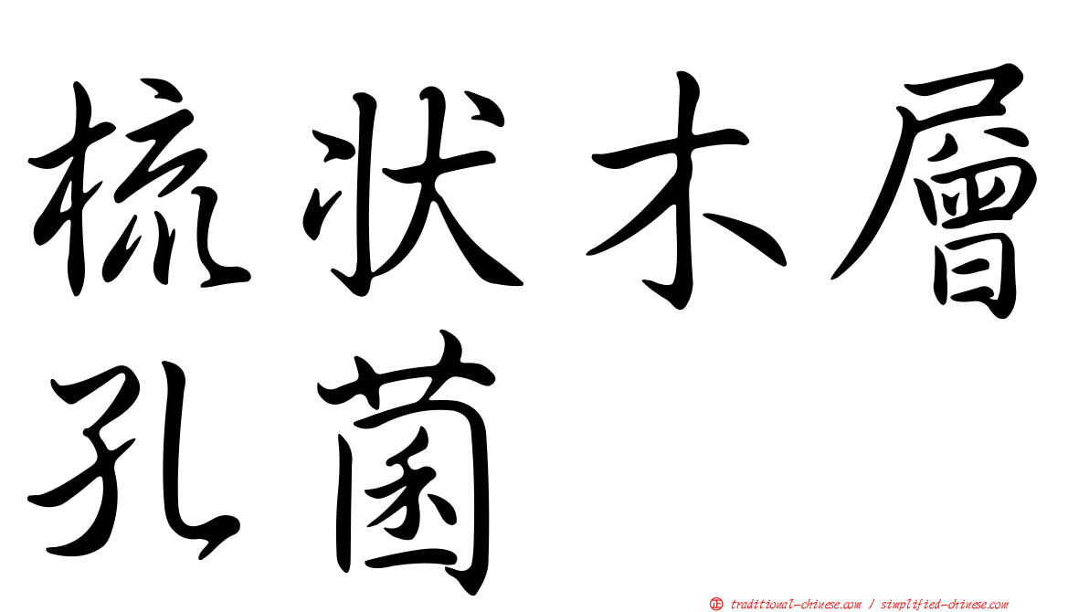 梳狀木層孔菌