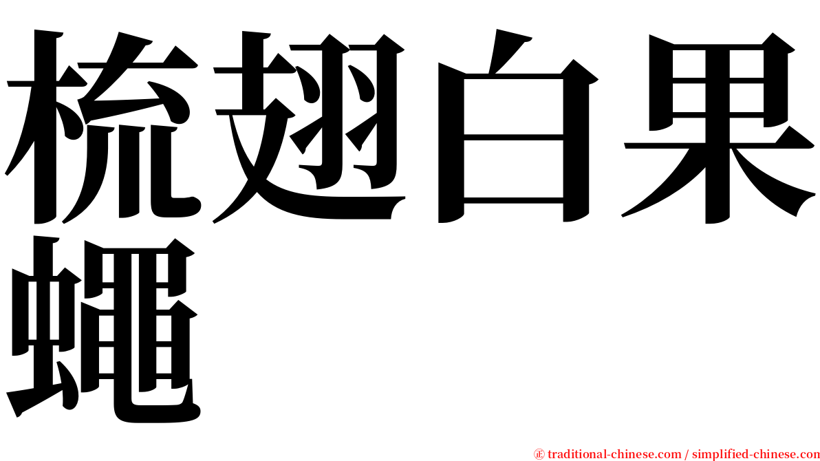 梳翅白果蠅 serif font