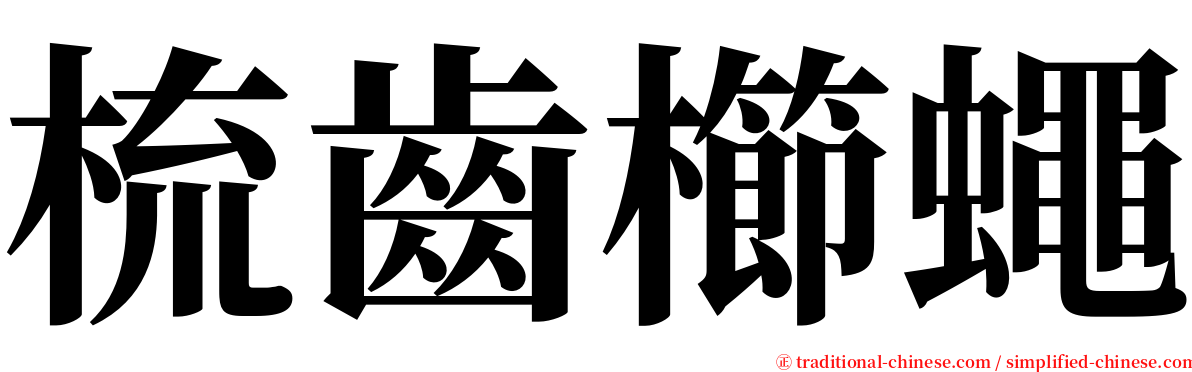 梳齒櫛蠅 serif font