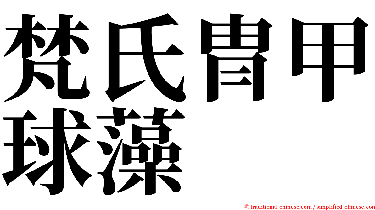 梵氏冑甲球藻 serif font