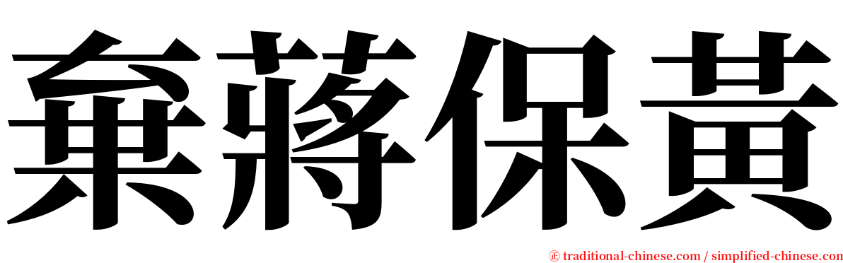 棄蔣保黃 serif font