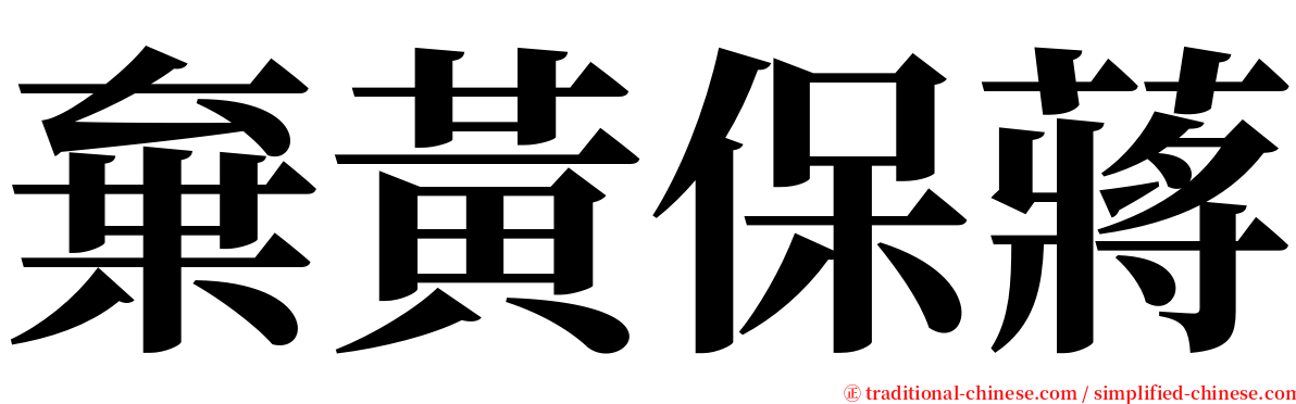 棄黃保蔣 serif font