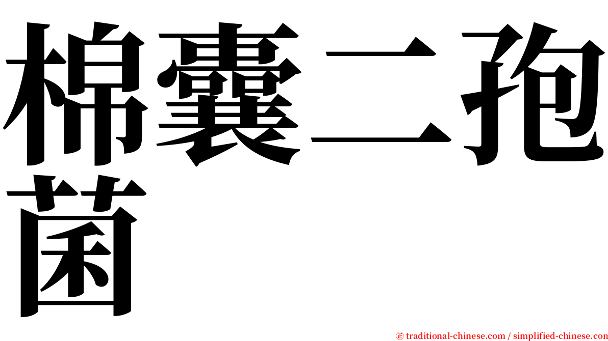 棉囊二孢菌 serif font