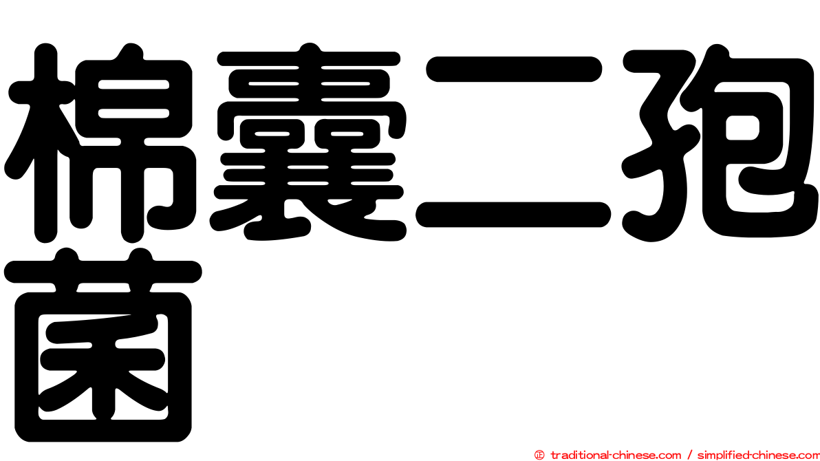 棉囊二孢菌