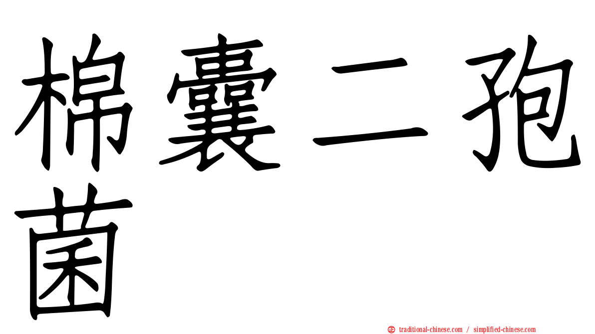 棉囊二孢菌